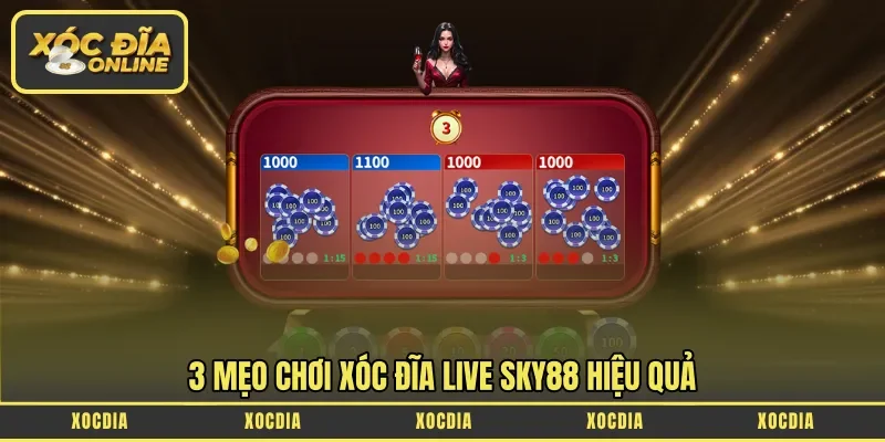 3 mẹo chơi xóc đĩa Live Sky88 hiệu quả