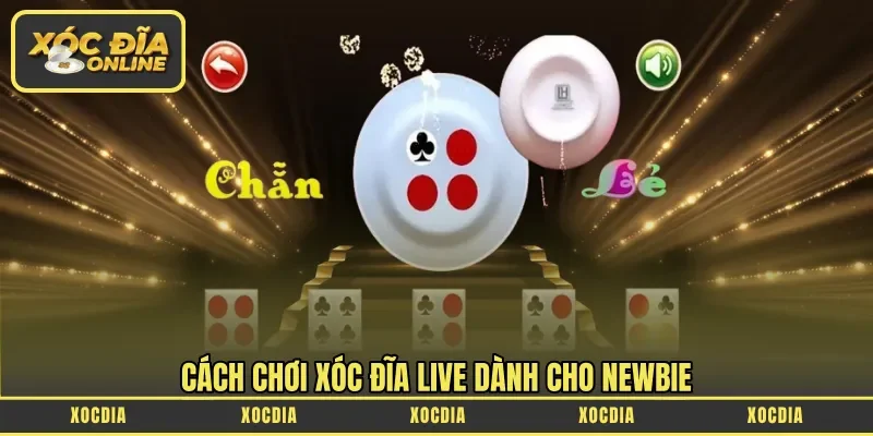 Cách chơi xóc đĩa LIVE dành cho newbie