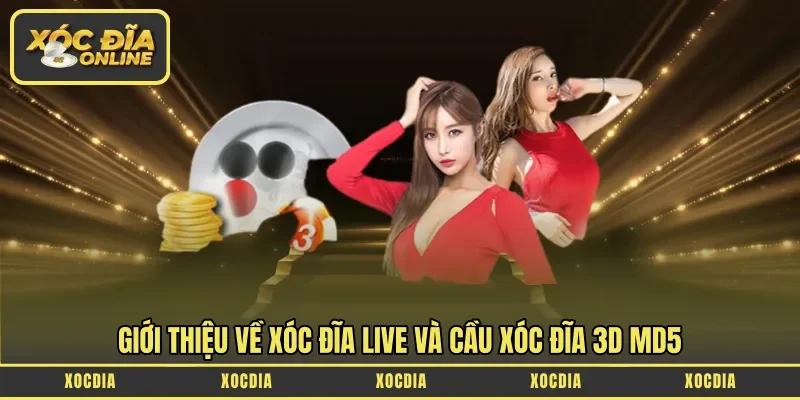 Giới thiệu về xóc đĩa live và cầu xóc đĩa 3D MD5