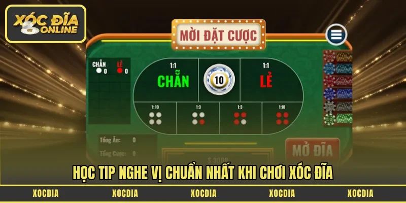 Học tip nghe vị chuẩn nhất khi chơi xóc đĩa