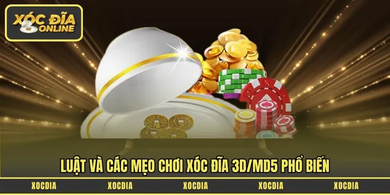 Luật và các mẹo chơi Xóc đĩa 3D/MD5 phổ biến