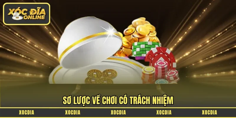 Sơ lược về chơi có trách nhiệm