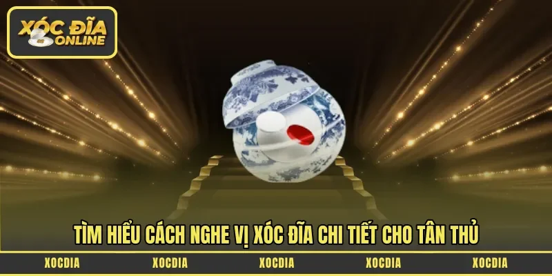 Tìm hiểu cách nghe vị xóc đĩa chi tiết cho tân thủ