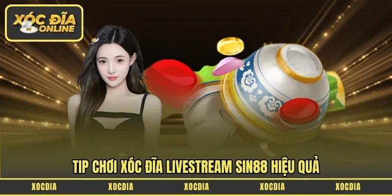Tip chơi Xóc Đĩa Livestream Sin88 hiệu quả